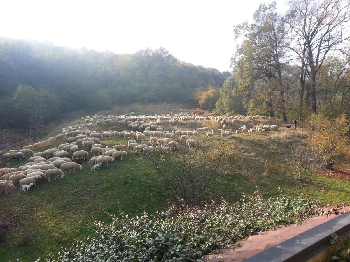 Отель Antica Cascina Del Medico Muzzano Экстерьер фото