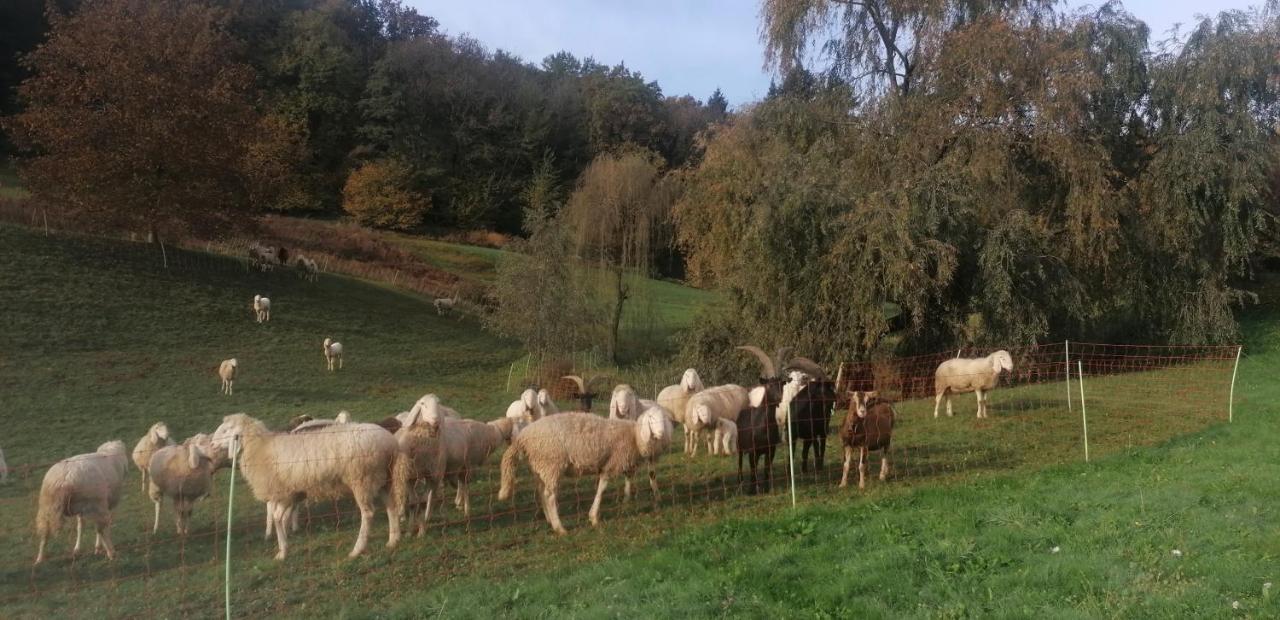 Отель Antica Cascina Del Medico Muzzano Экстерьер фото