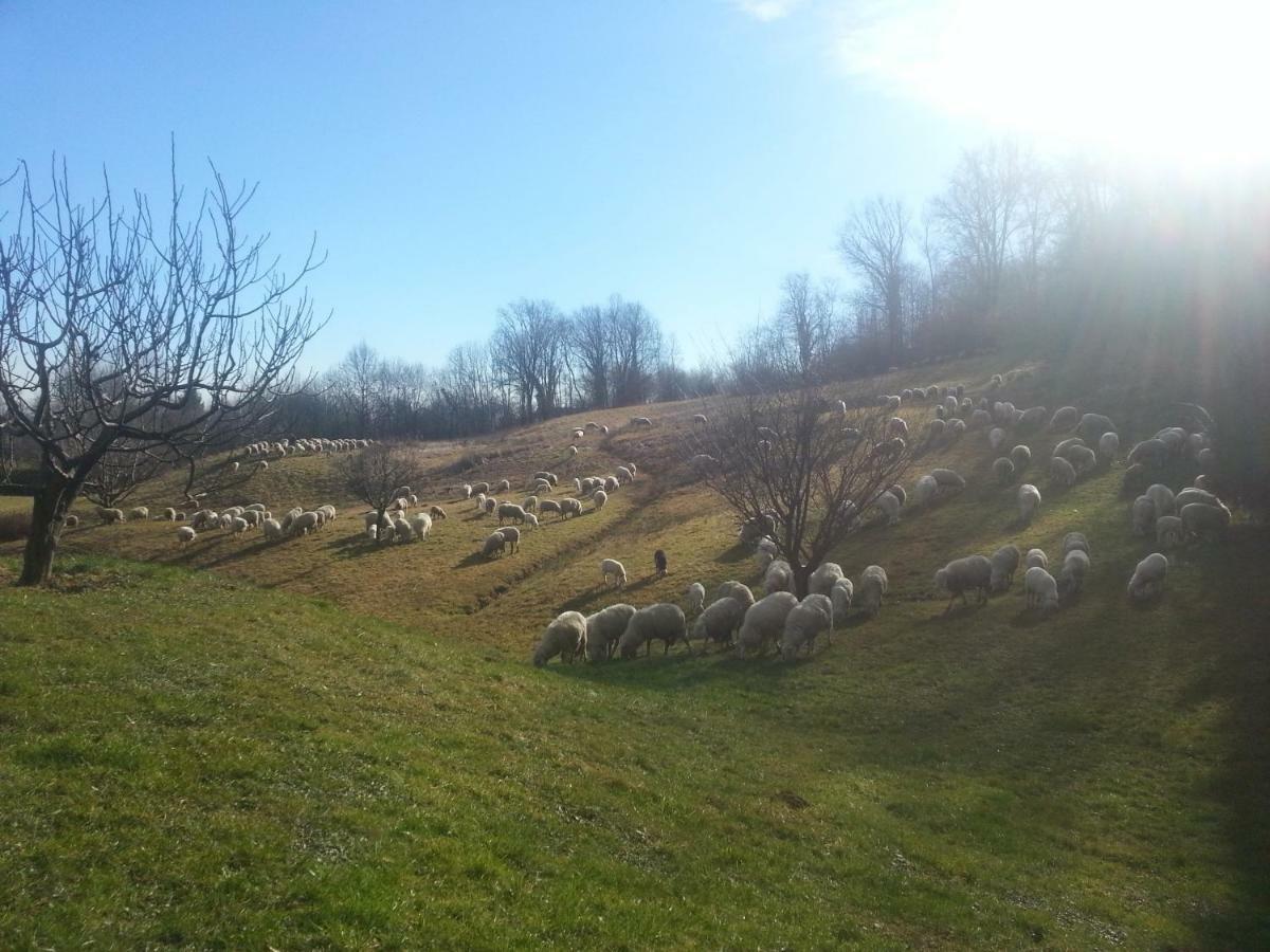 Отель Antica Cascina Del Medico Muzzano Экстерьер фото